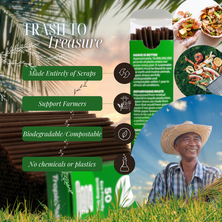 Infographic of the ways agave straws support local farmers and save the world.